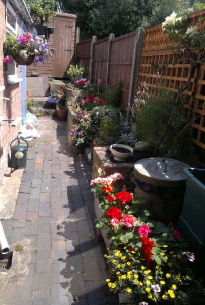 My small garden in bloom